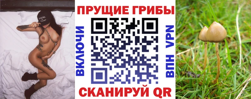 где продают наркотики  Железногорск-Илимский  Псилоцибиновые грибы ЛСД 